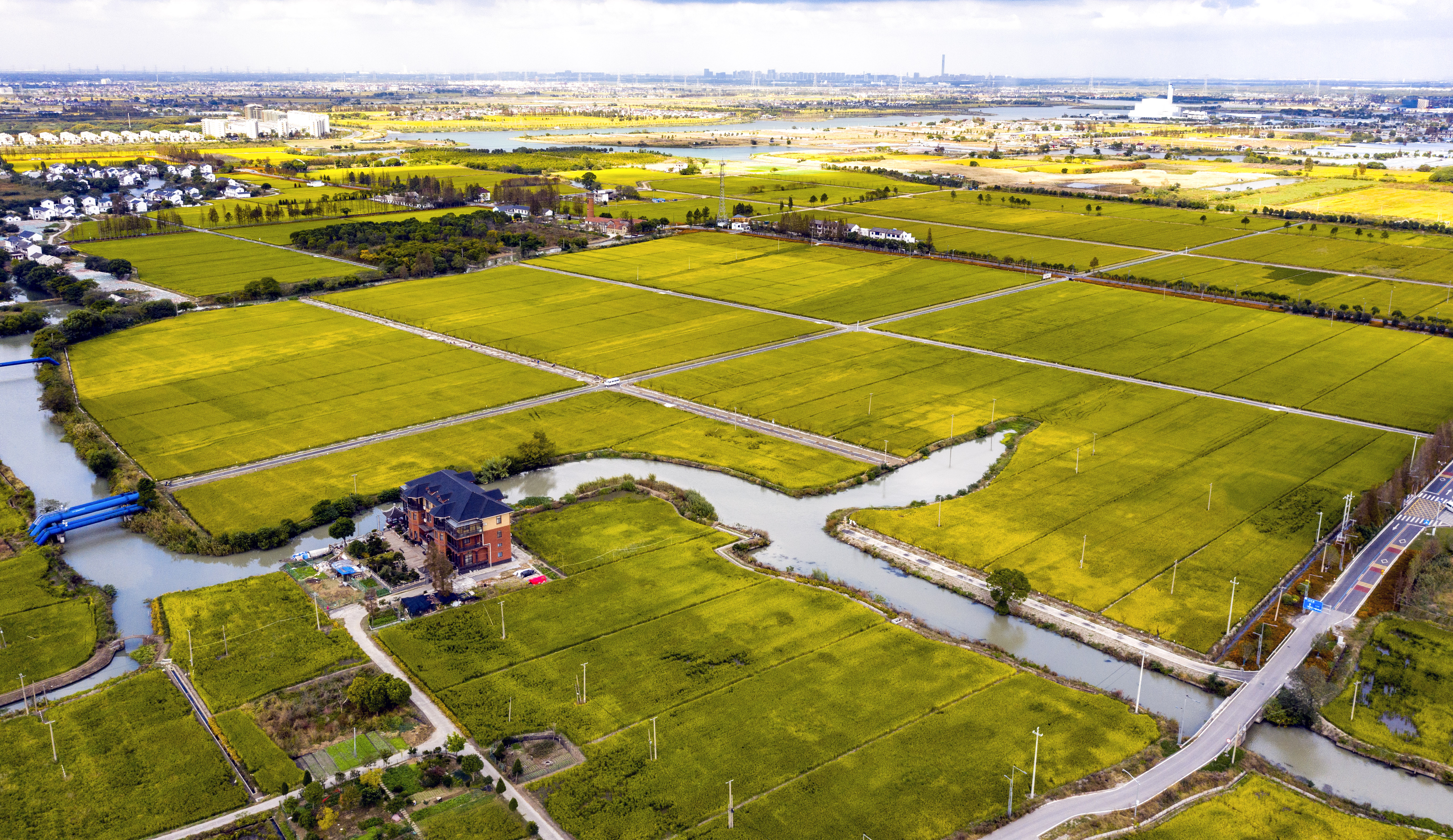 浙農(nóng)股份與浙江省糧食集團(tuán)簽署戰(zhàn)略合作協(xié)議 ...