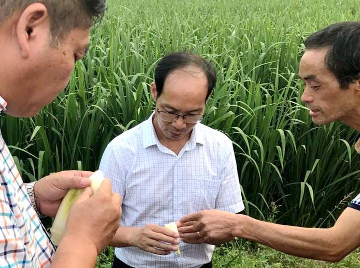 1526378112620647.jpg 微信圖片_20180515170644.jpg