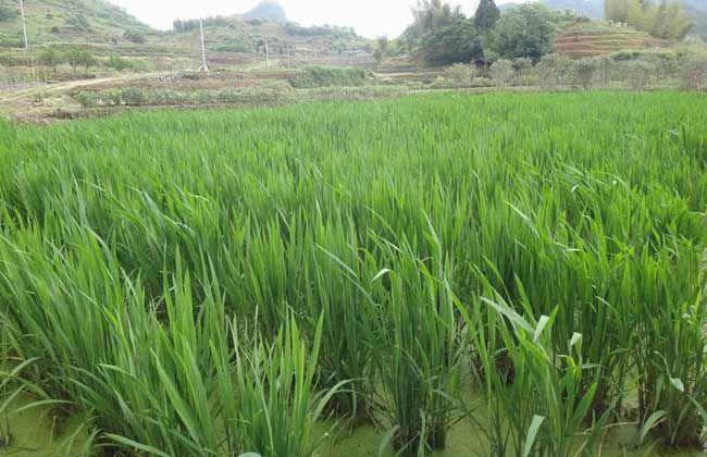 1526378244134728.jpg 微信圖片_20180515170657.jpg